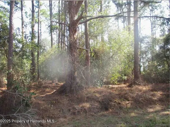 108 Humphrey Ave, Lake Placid, FL 33852