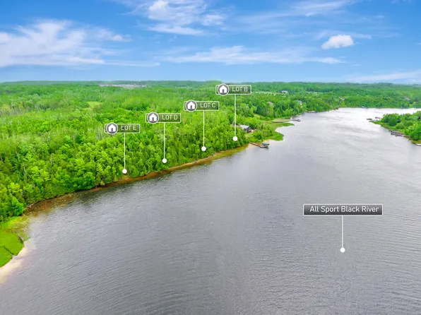 V/l N Black River Rd, Cheboygan, MI 49721