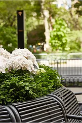 Rented by R New York