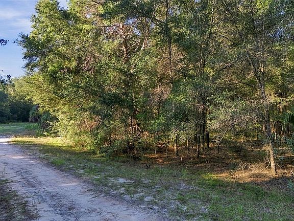 5th image of 8583 N Sanfilippo Loop