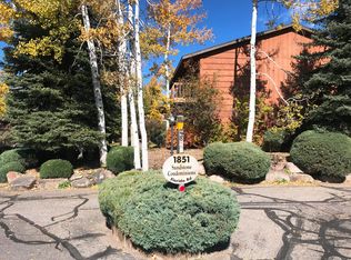 1851 Florida Rd APT 207, Durango, CO 81301