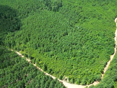 0 Liberty Ridge Rd, Hohenwald, TN, 38462