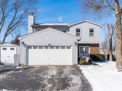 230 Ashley Ct, Roselle, IL, 60172