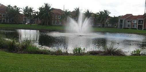 2nd image of 7808 Sonoma Springs Cir APT 101