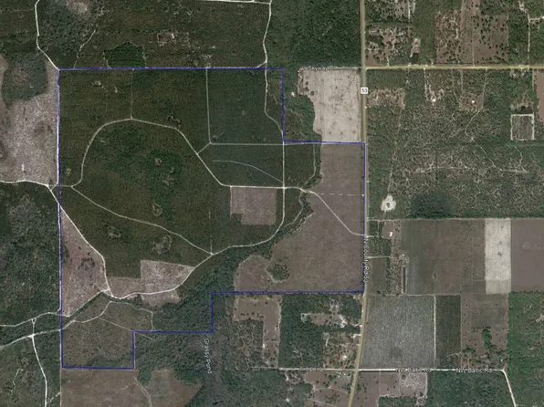 N County Road 53, Mayo, FL 32066