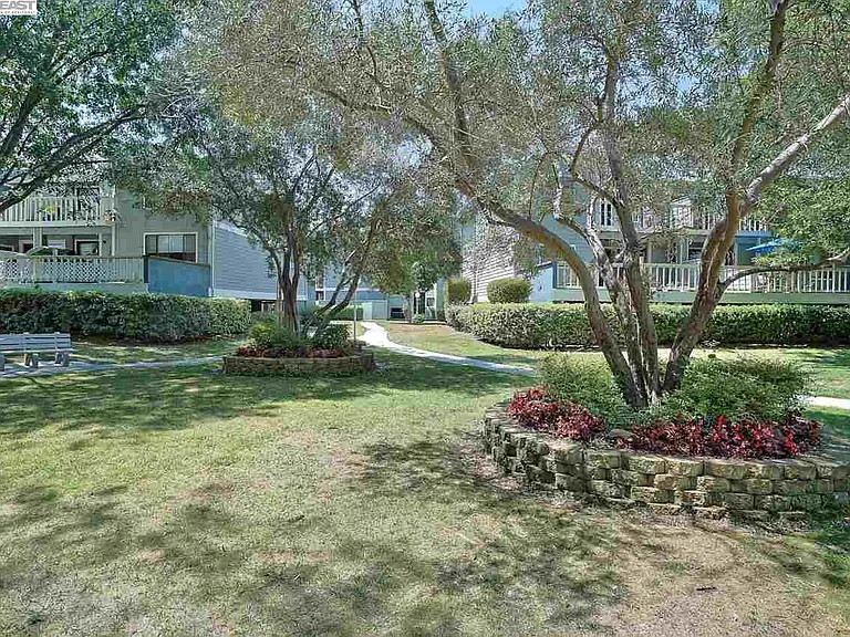 36992 Meadowbrook Cmn #102 — Photo 20