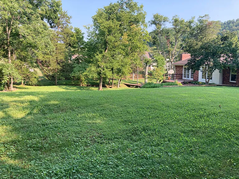 Back yard