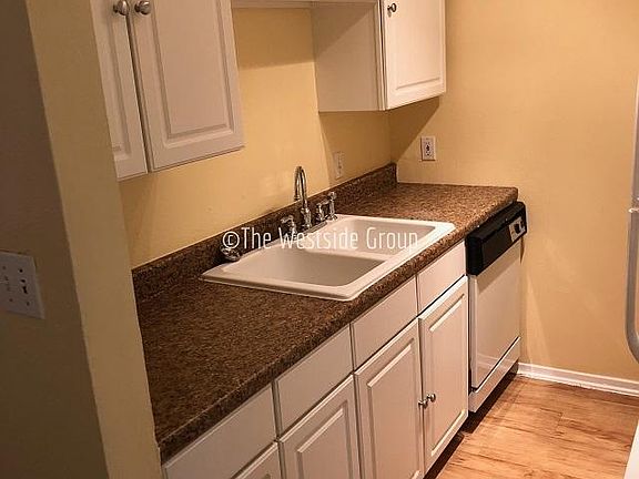 Sink and update cabinets