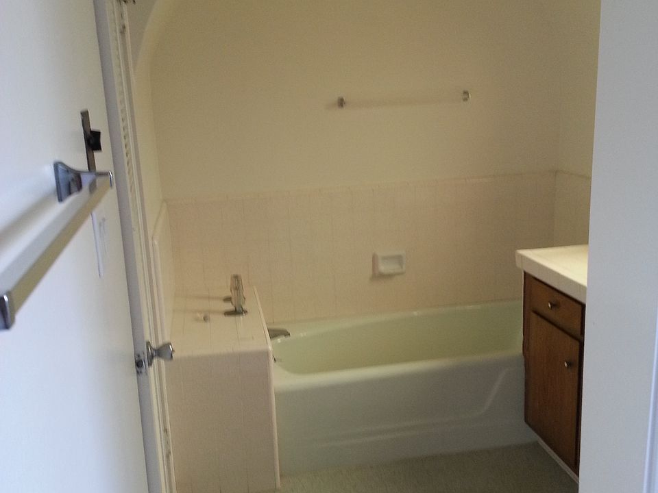 Master Bathroom Tub