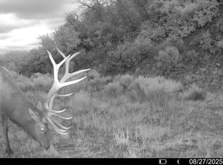 13849 State Hwy #64, Dulce, NM 87528