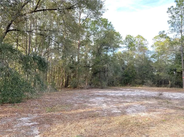 0 NE 128th Ln, Bronson, FL 32621