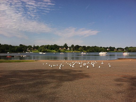 Nearby Wethersfield Cove