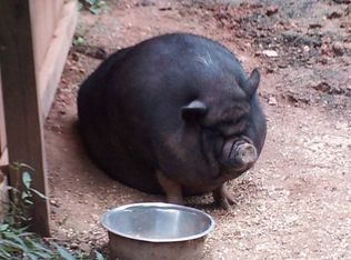 811 Western Ave, Northbrook, IL 60062