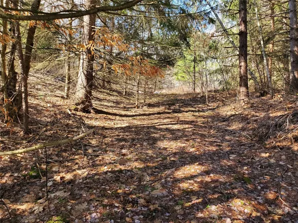 1986 Old Route 17, Windsor, NY 13865