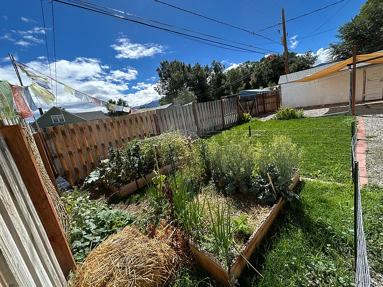 Feast your eyes on these overachievers! The raised garden beds are thriving_proof that even plants love it here. Whether you're a seasoned gardener or just good at watering, this setup is ready to impress.