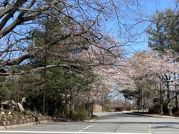 Turtle Creek entrance