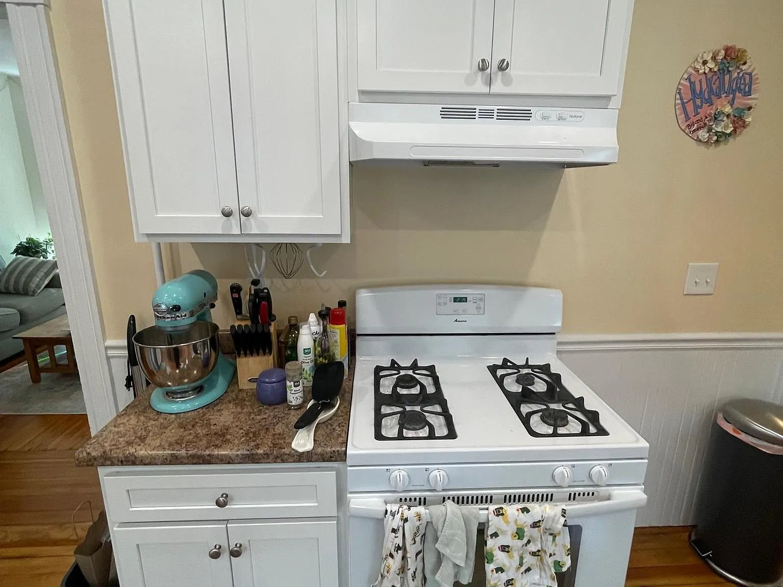 3 bed, 1500 sqft, $3,900 — Photo 2
