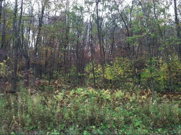 75 Shelby Ln, Shippenville, PA 16254