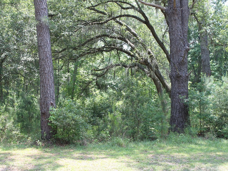 View of Lot from Street