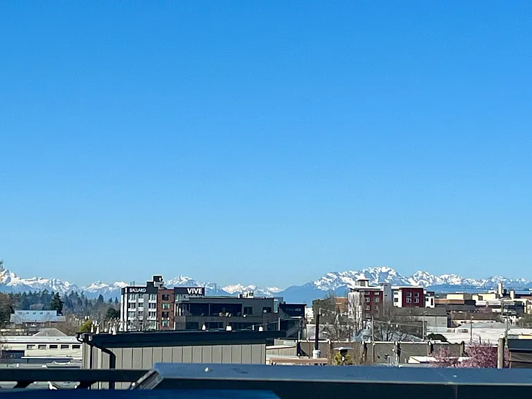 rooftop view