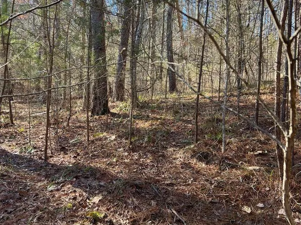 157 Laurel Lake Cir, Madisonville, TN 37354