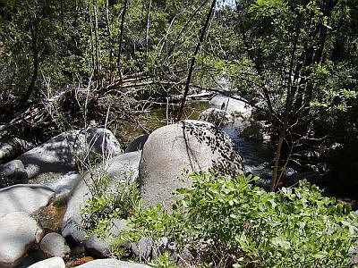 Fresh Water Creek