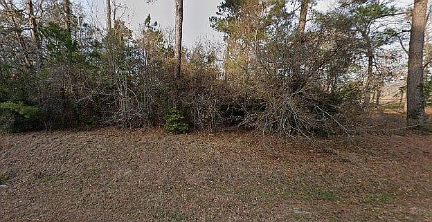 1st image of 117 Kings Harbor Dr
