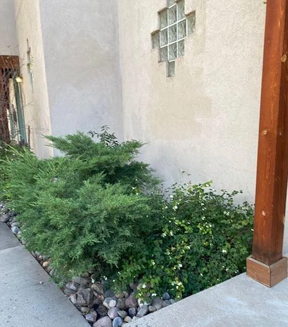 Building Photo - 525 Animas View Dr #31