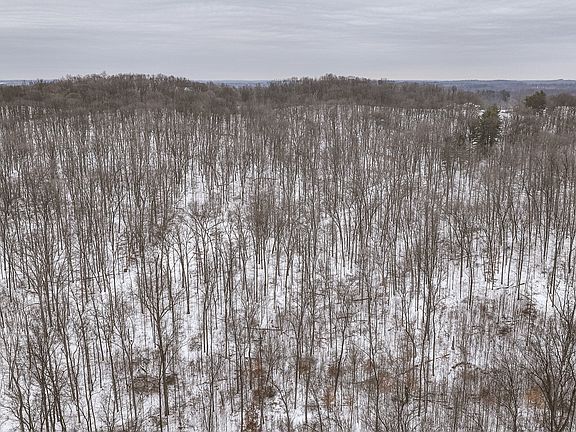 2nd image of 0 E Wright Rd