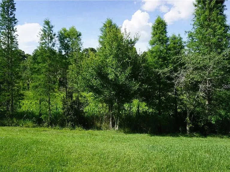 26543 Castleview Way — Photo 15