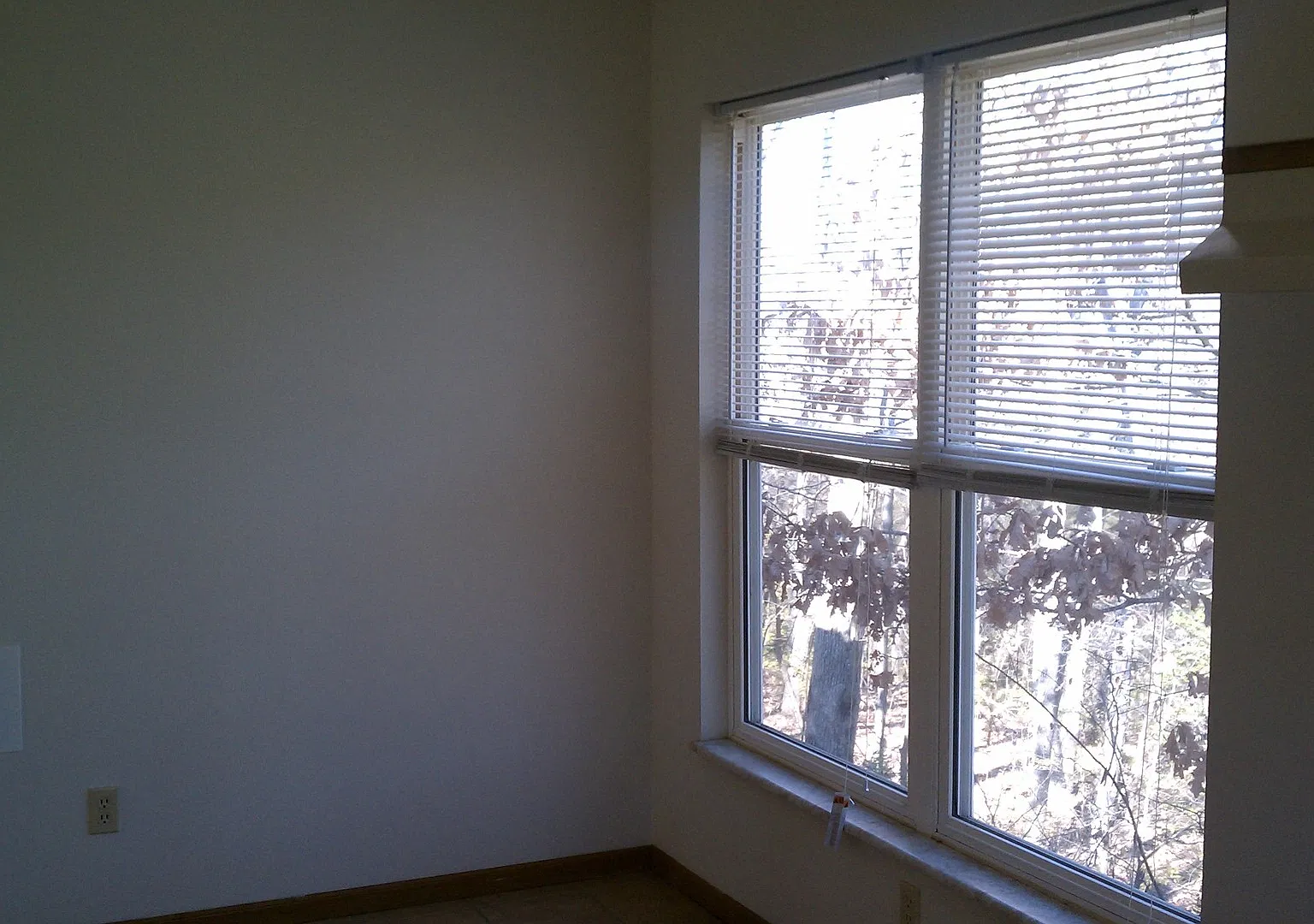 Spacious 4 Bedroom 1.5 bath Home For Lease Just Off I-44 — Photo 3
