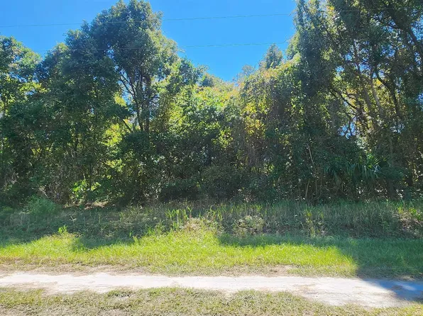 431 Redwood Blvd, Georgetown, FL 32139