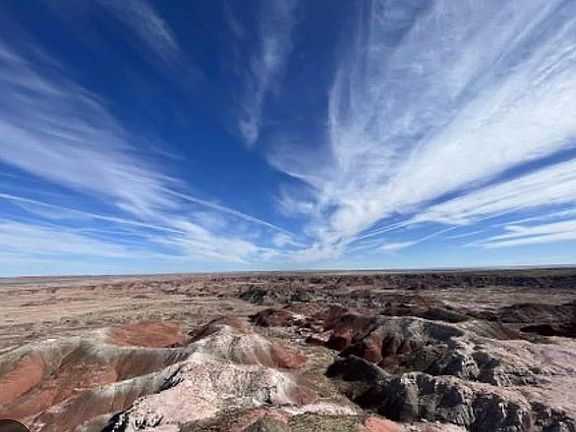 2nd image of Petrified Forest Estate Amended #1