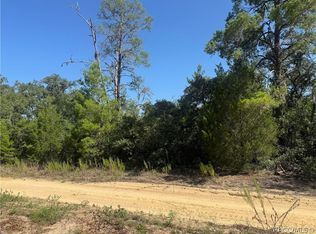 2905 Woodhill St, Inverness, FL 34452