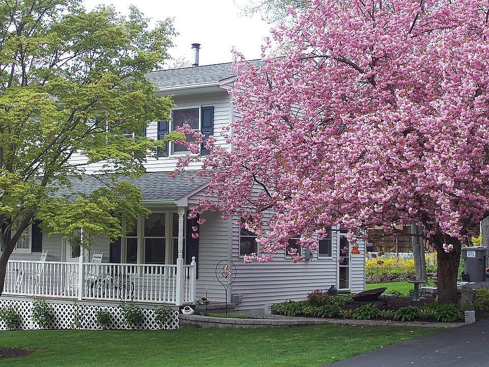 2nd image of 17 Elmwood Dr