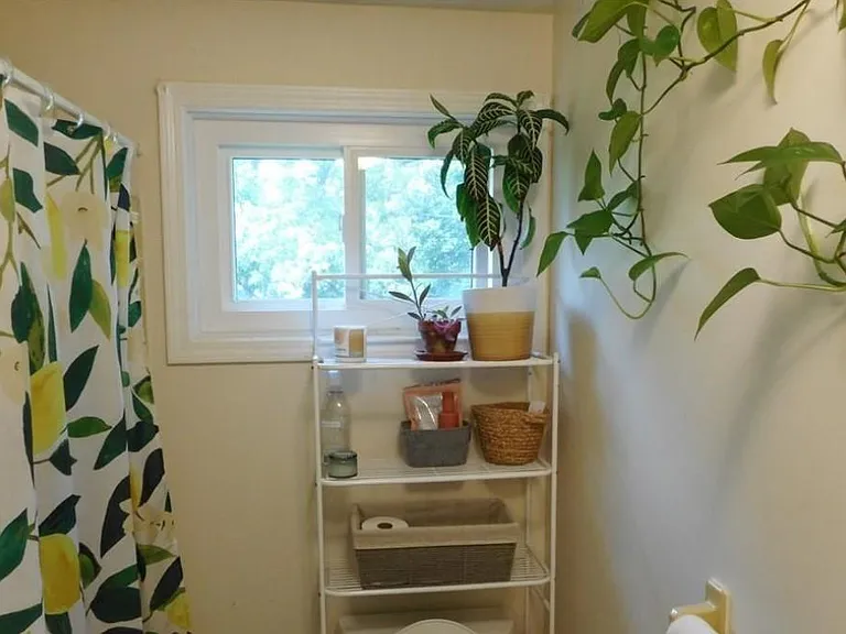 Freshly painted Upstairs bathroom.
