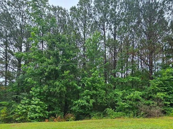 LOT 32 Maynor Ln, Oneonta, AL 35121