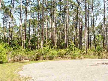 2nd image of 287 Magnolia Bay Dr