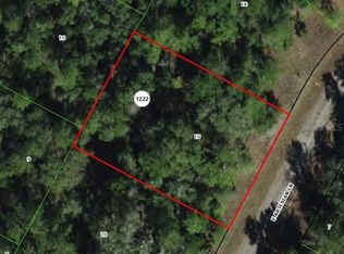 8516 N Escobar Rd LOT 19, Dunnellon, FL 34434
