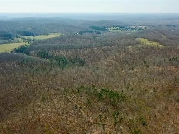 PARCEL 2 Lake Rd, Silva, MO 63964