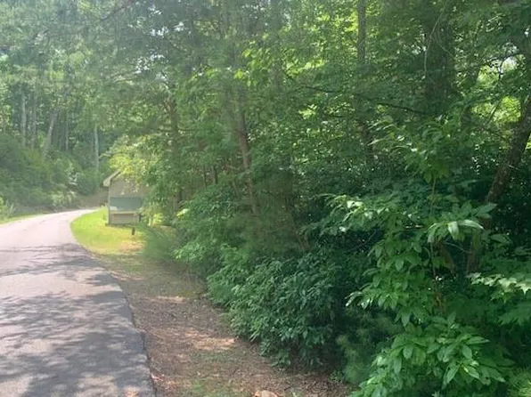 10 Moon Shadow Trl, Blairsville, GA 30512