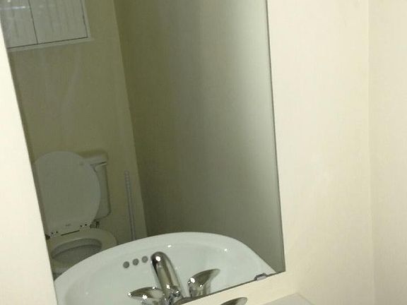 Downstairs half bathroom