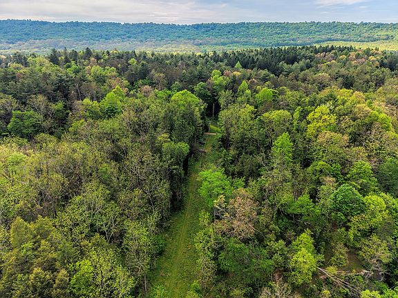 29th image of 16874 Trough Creek Dr