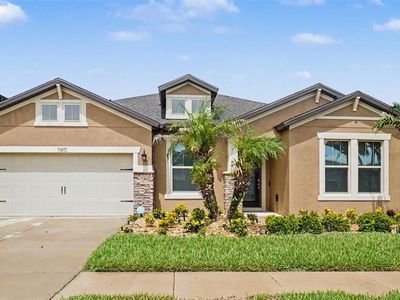 11610 DUBLIN GRAFTON DRIVE, Riverview, FL, 33579