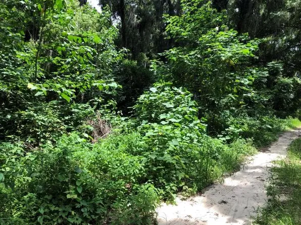 Tbd Nw 192nd Ct, Reddick, FL 32686