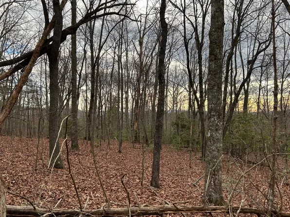 Fort Gumlog Rd, Young Harris, GA 30582