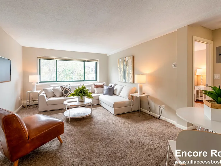 376 Harvard St #24 — Photo 4