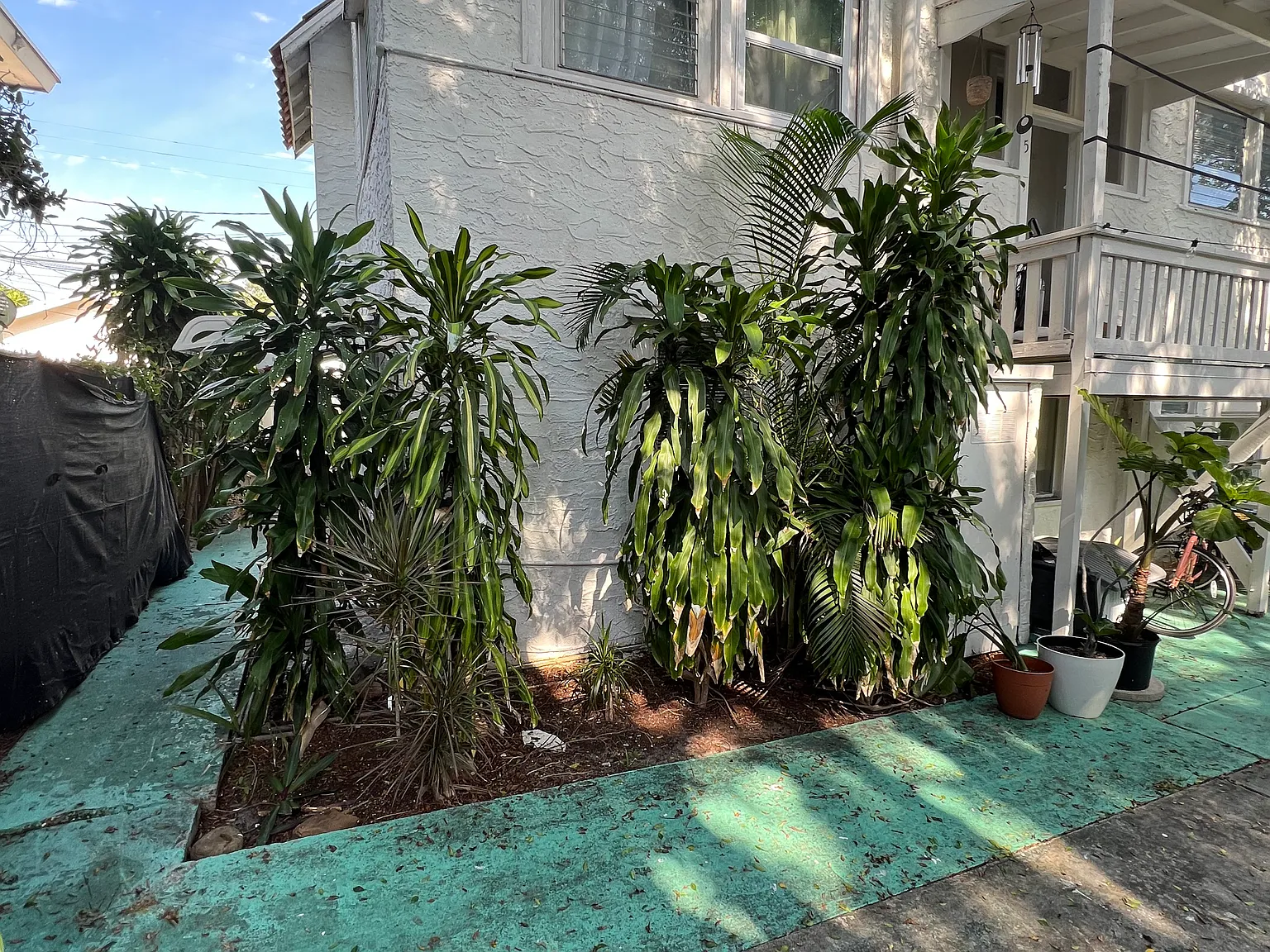 1 bed, 350 sqft, $1,350 — Photo 3