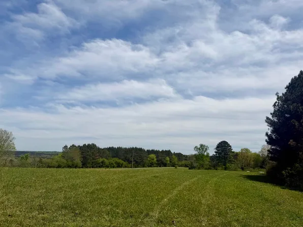 0 County Road 1061, Vinemont, AL 35179