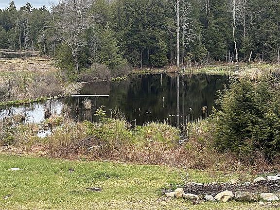 4th image of 2336 W Center Rd